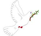 dove.jpg